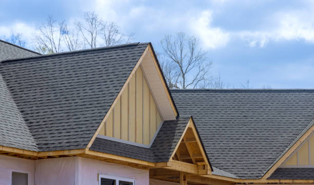 Best Chimney Flashing Repair  in Boston, GA