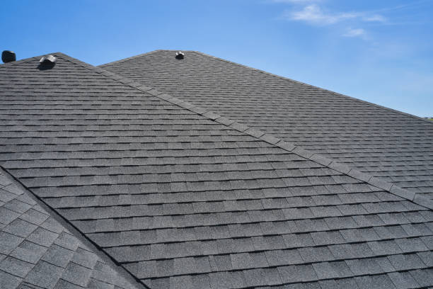 Best Skylight Installation and Repair  in Boston, GA